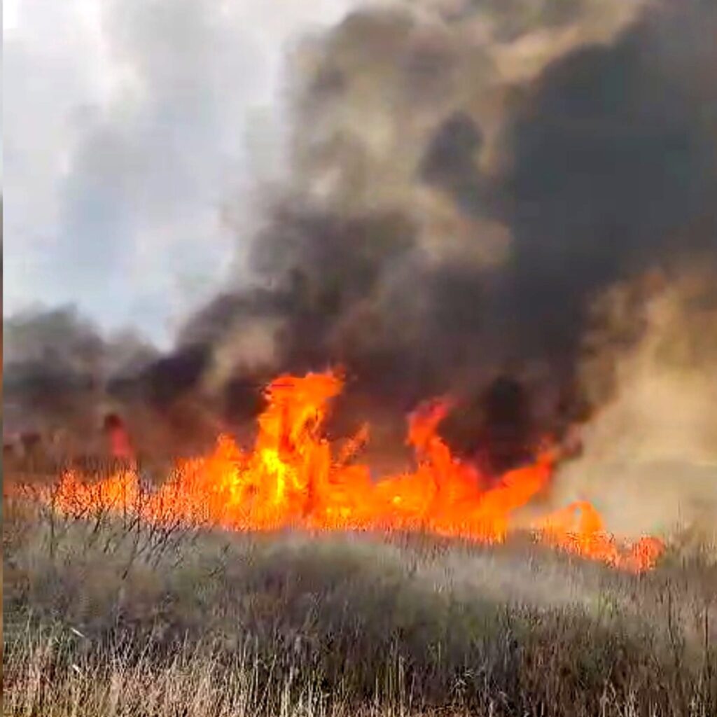 STUDIU: Fumul provenit de la incendiile de vegetaţie poate reduce producţia parcurilor solare cu 70%