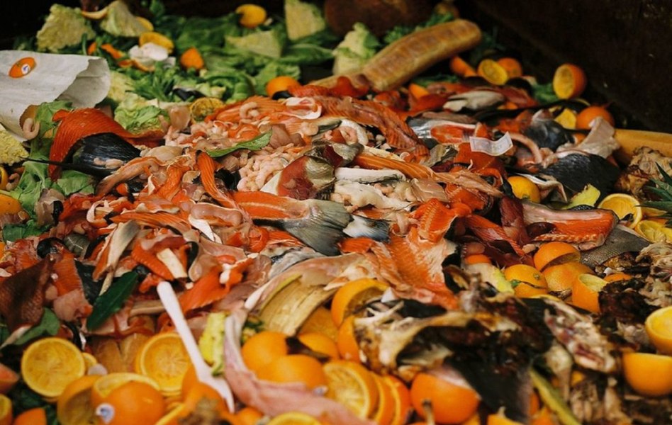 Țara în care fiecare locuitor aruncă 260 de kilograme de mâncare pe an. Unde se situează România în clasamentul risipei alimentare