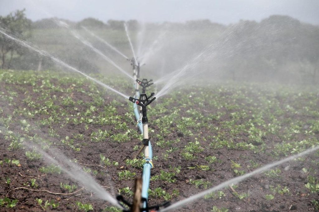 Ungaria irigă terenurile agricole afectate de secetă cu apa din iazuri, după scoaterea peştilor
