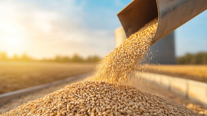Urmează conferinţa ZF Agrobusiness Summit, luni 26 octombrie. Mai scăpăm de eticheta de „exportator de materii prime“? Cerealele şi seminţele ţin departe de prăpastie deficitul din agribusiness. Exporturile României de produse agricole au ajuns la 7,4 mld. euro în 2025, iar cele de produse alimentare procesate la 1,8 mld. euro, potrivit datelor INS