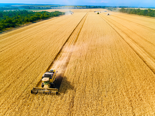 Urmează, luni 26 octombrie, ora 9:00, conferinţa ZF AGROBUSINESS & FOOD SUMMIT 2026. IMM-urile ţin agricultura: firmele micro, mici şi mijlocii fac aproape 88% din afacerile de 55 mld. lei ale fermelor