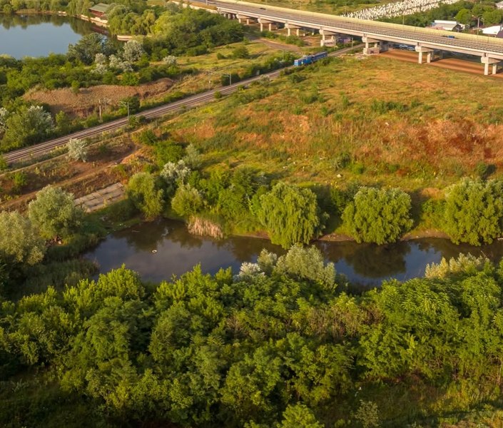 Valea Saulei, noua arie naturală protejată din București. Are 5,2 hectare și peste 80 de specii de păsări